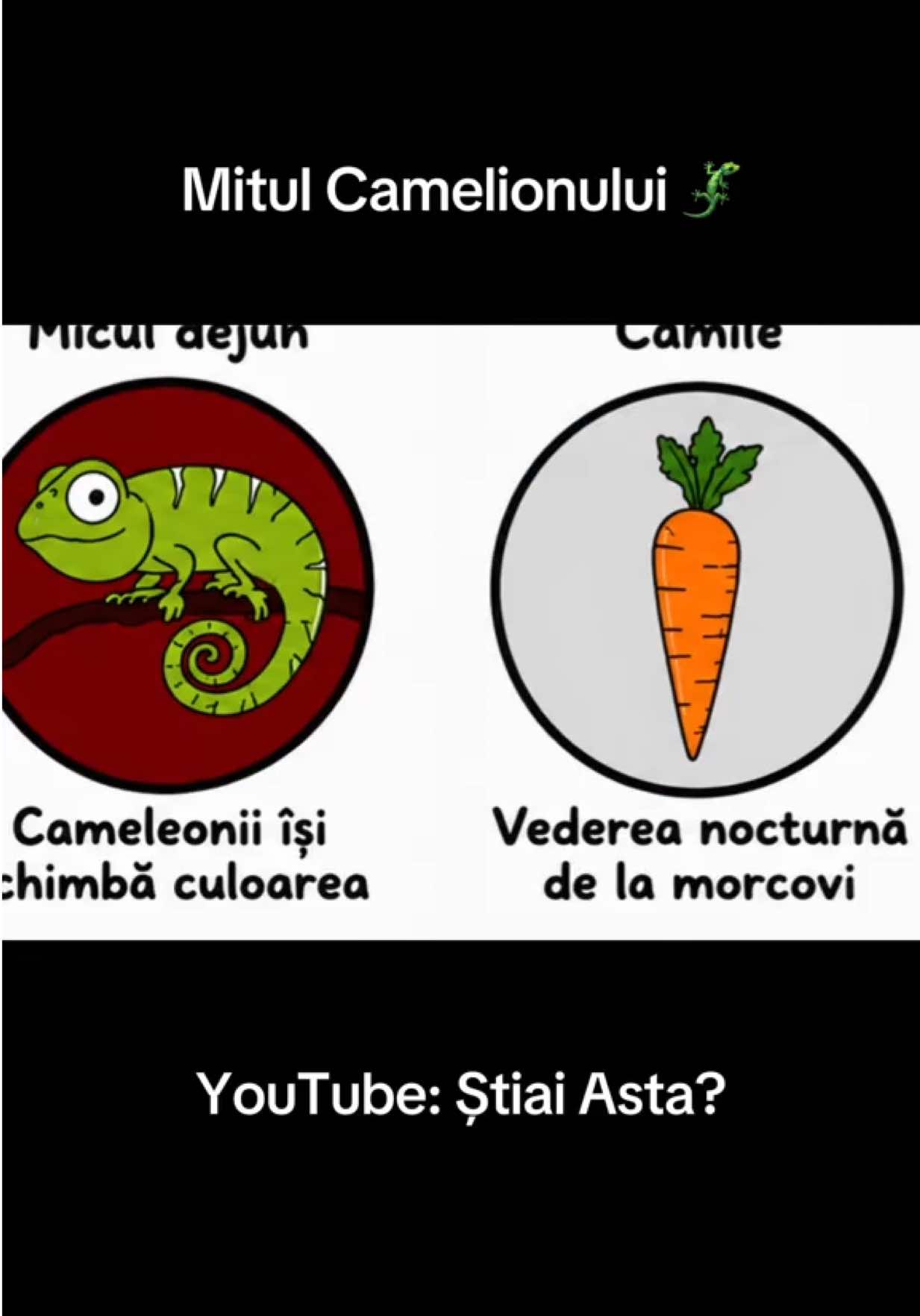 @Stiai Asta?