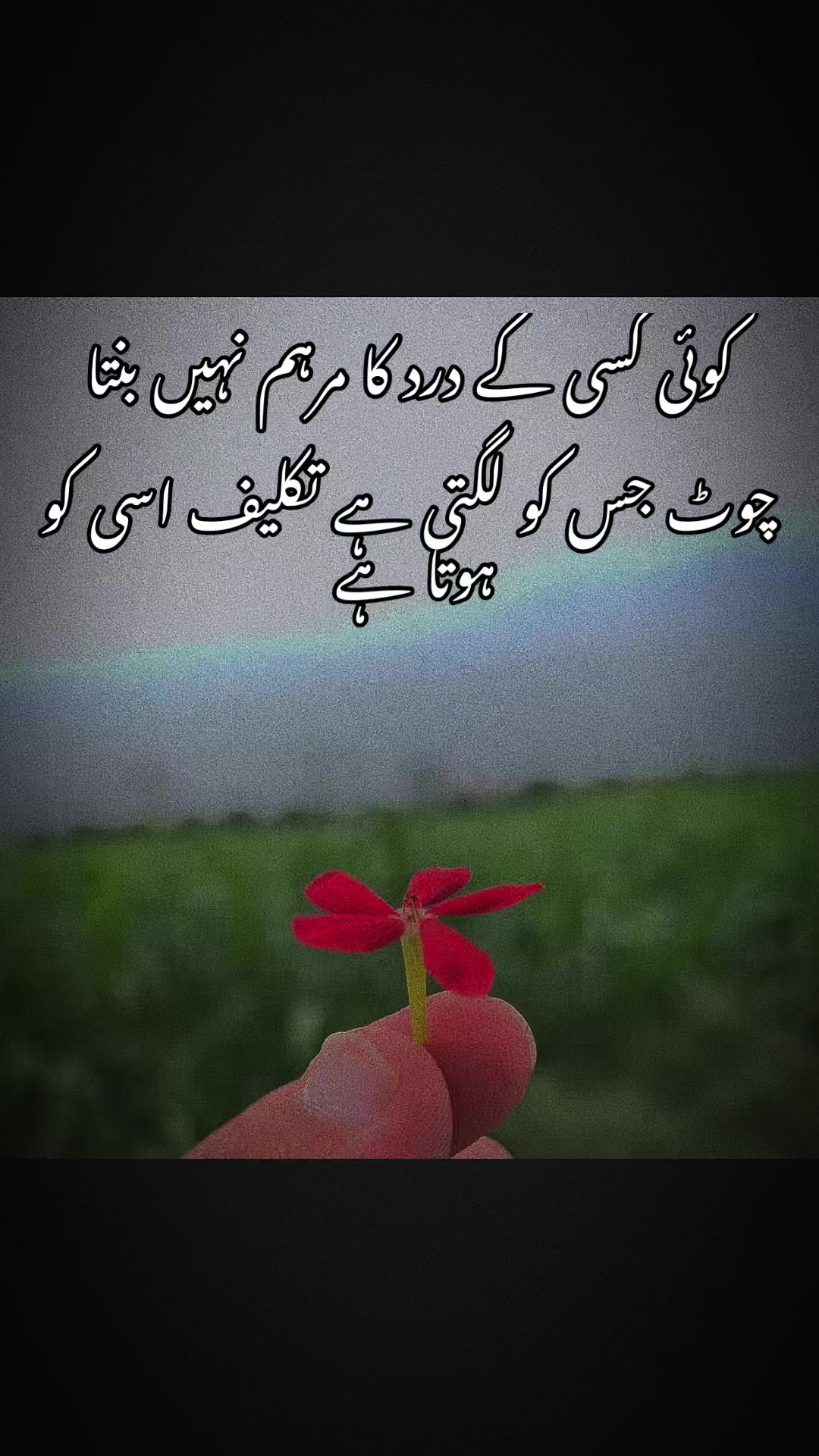 @SK786