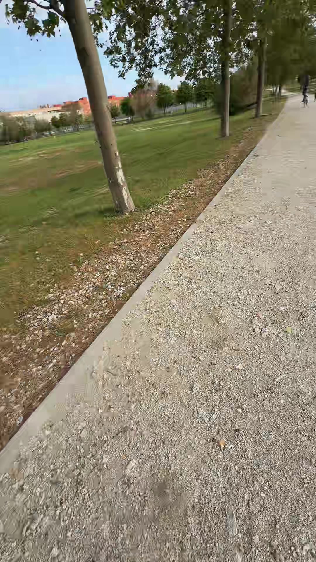 @Yolii