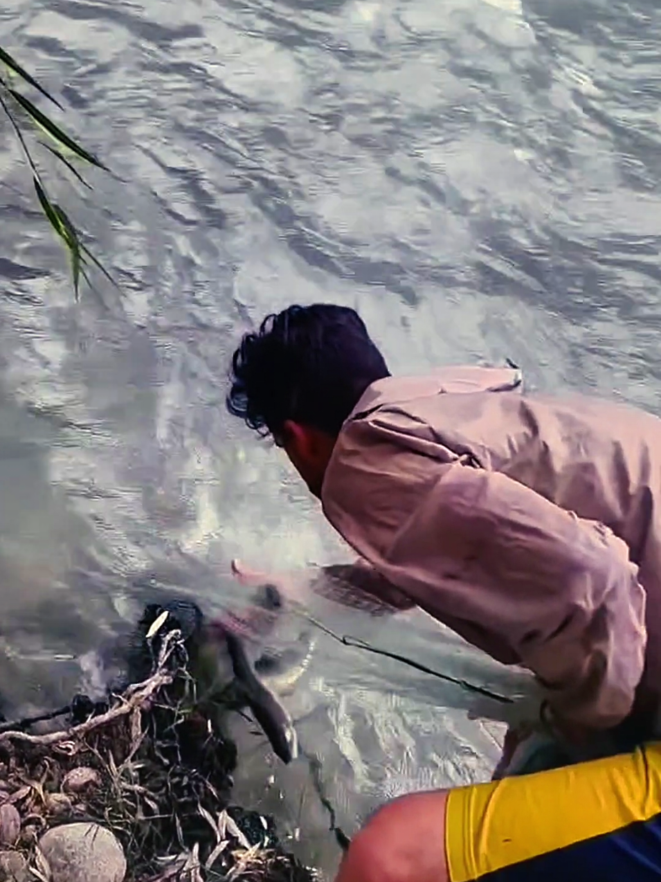@Cast Net Fishing