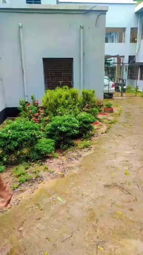 @SS ashraful