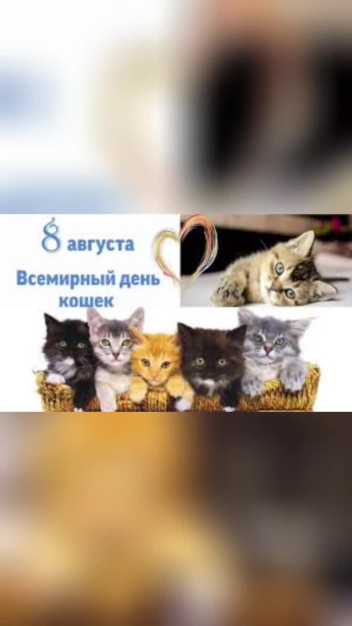 @Ольга🌷