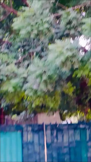 @🦅Ᏼʀᴀɴᴅ_𝑨 𝑭 𝑹 𝑰 𝑫 𝑰🦅