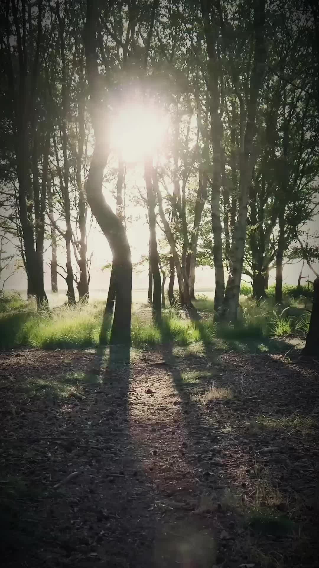 @joshibodje