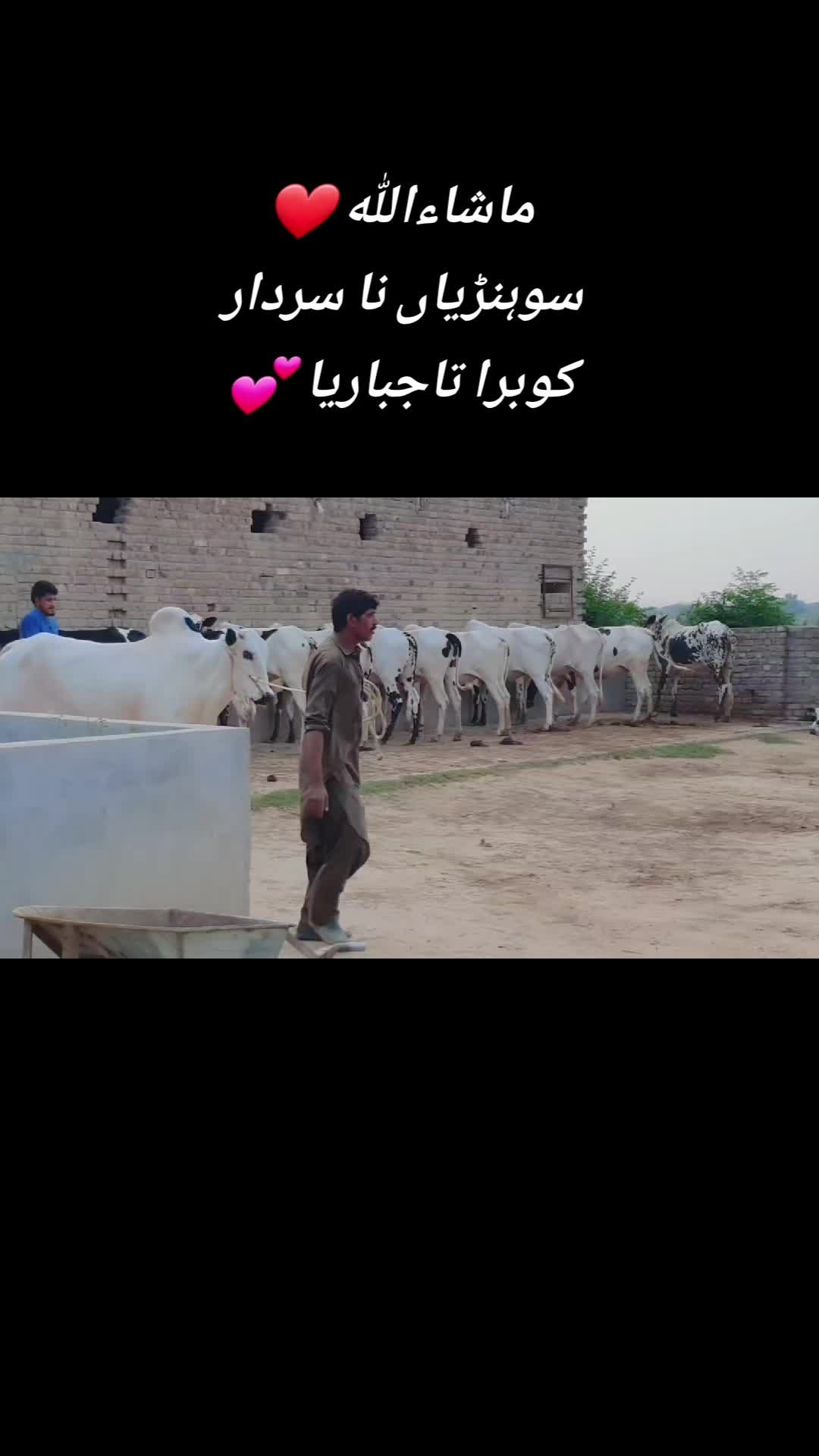 @Sardar Bilal