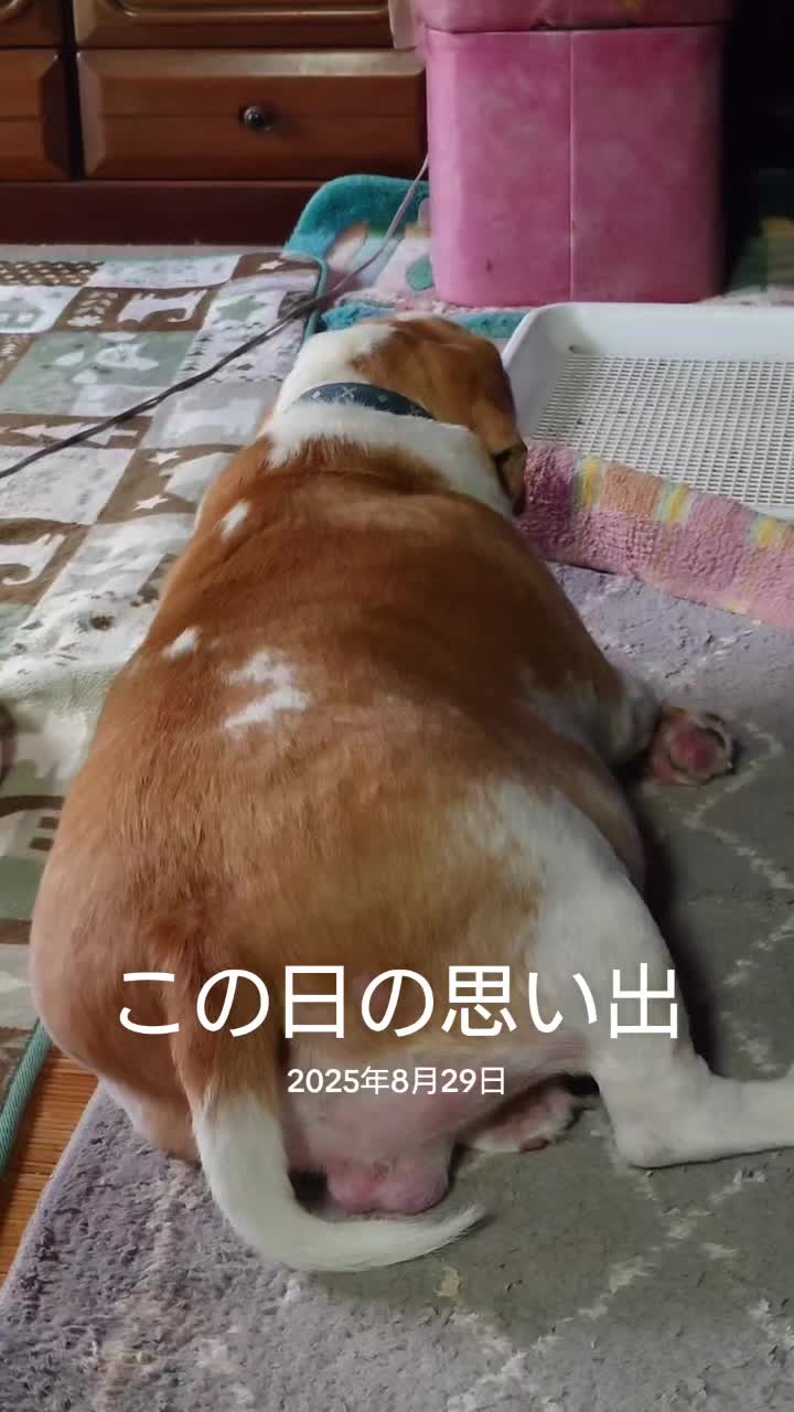 @そら