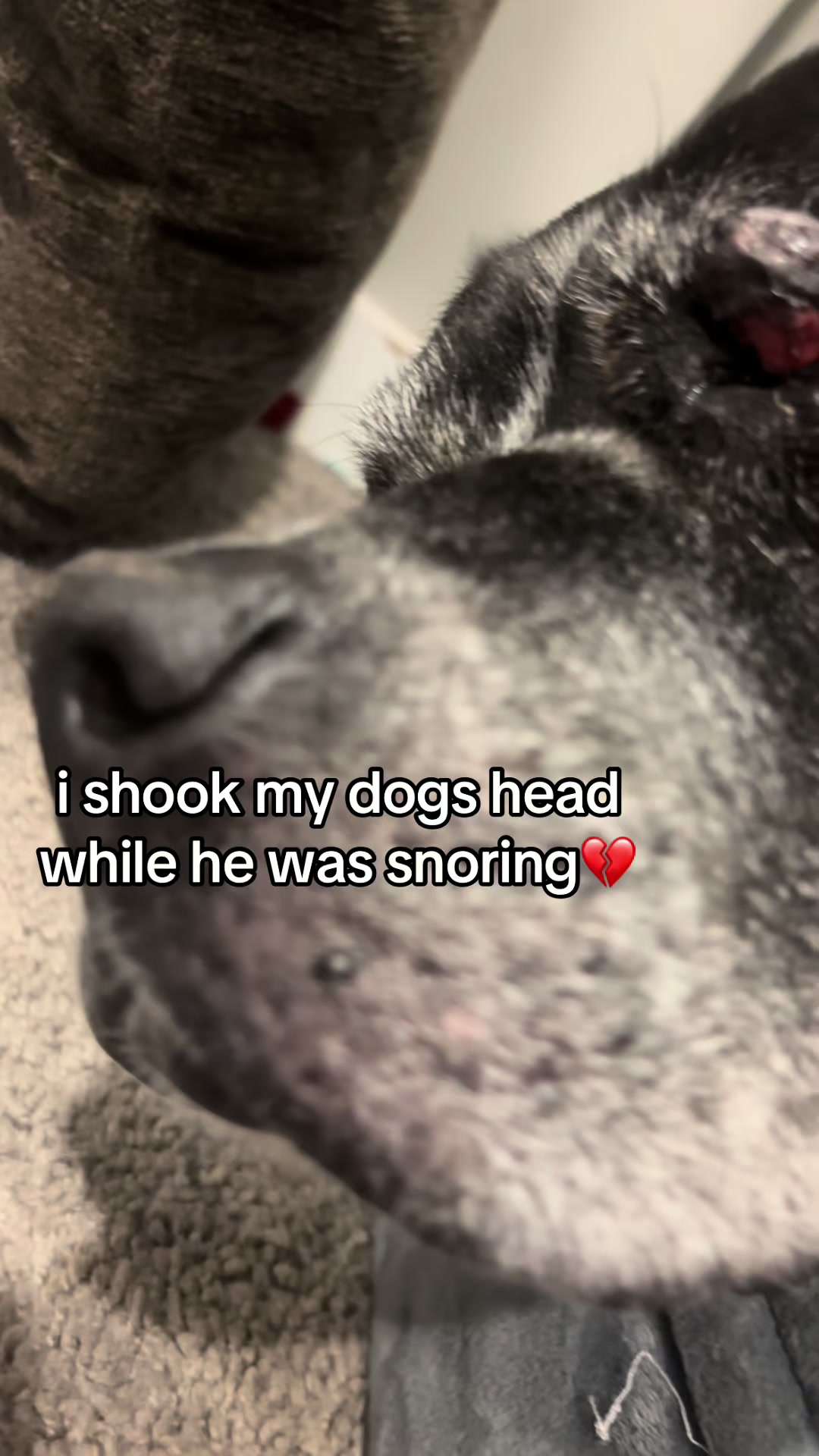 @moon 🌙