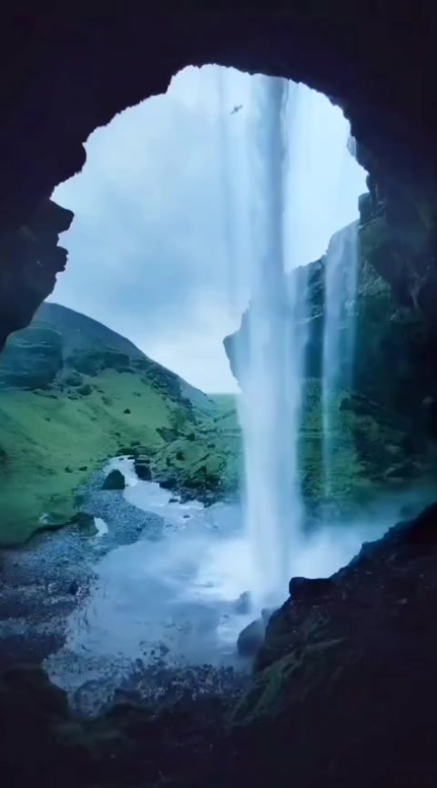 @Lionghoaho