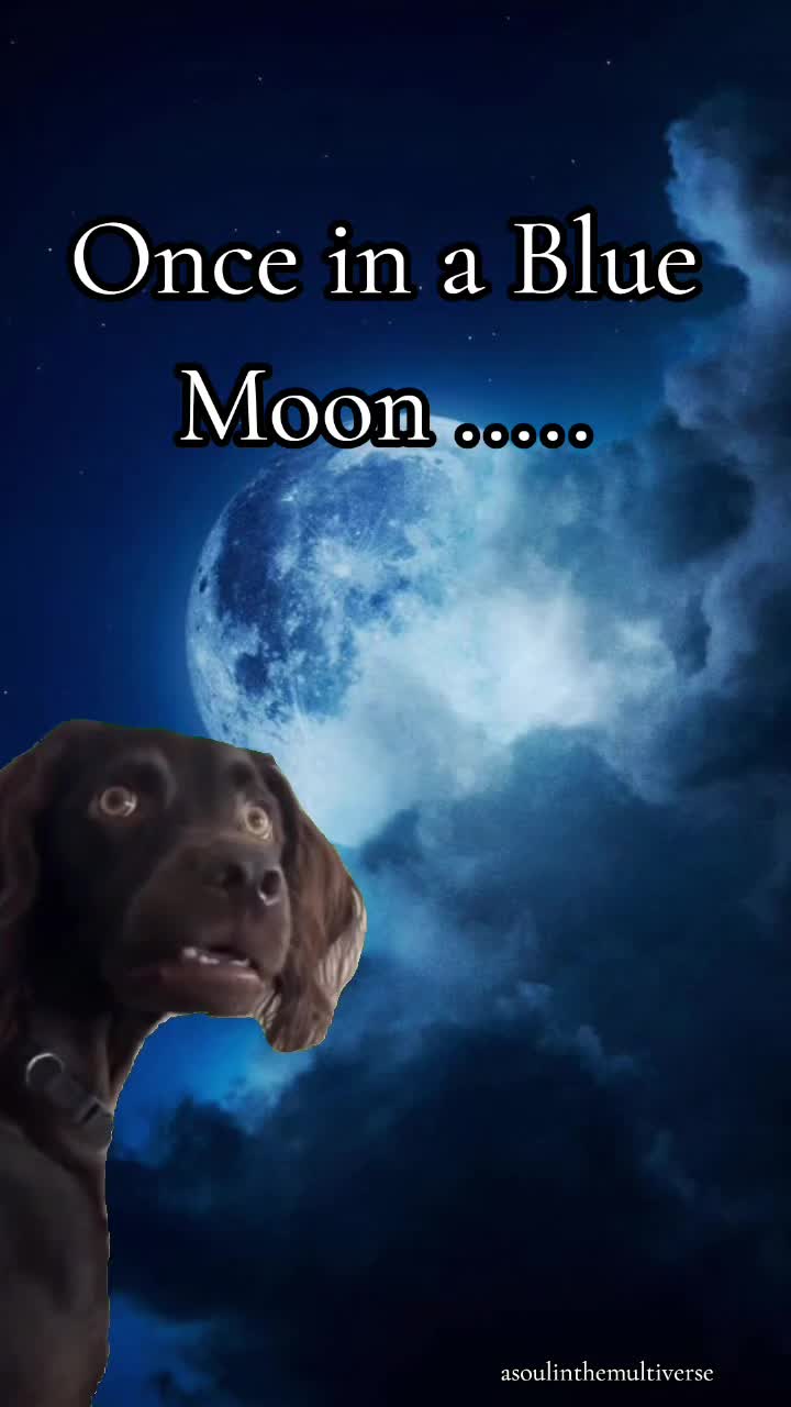 @A Soul in the Multiverse
