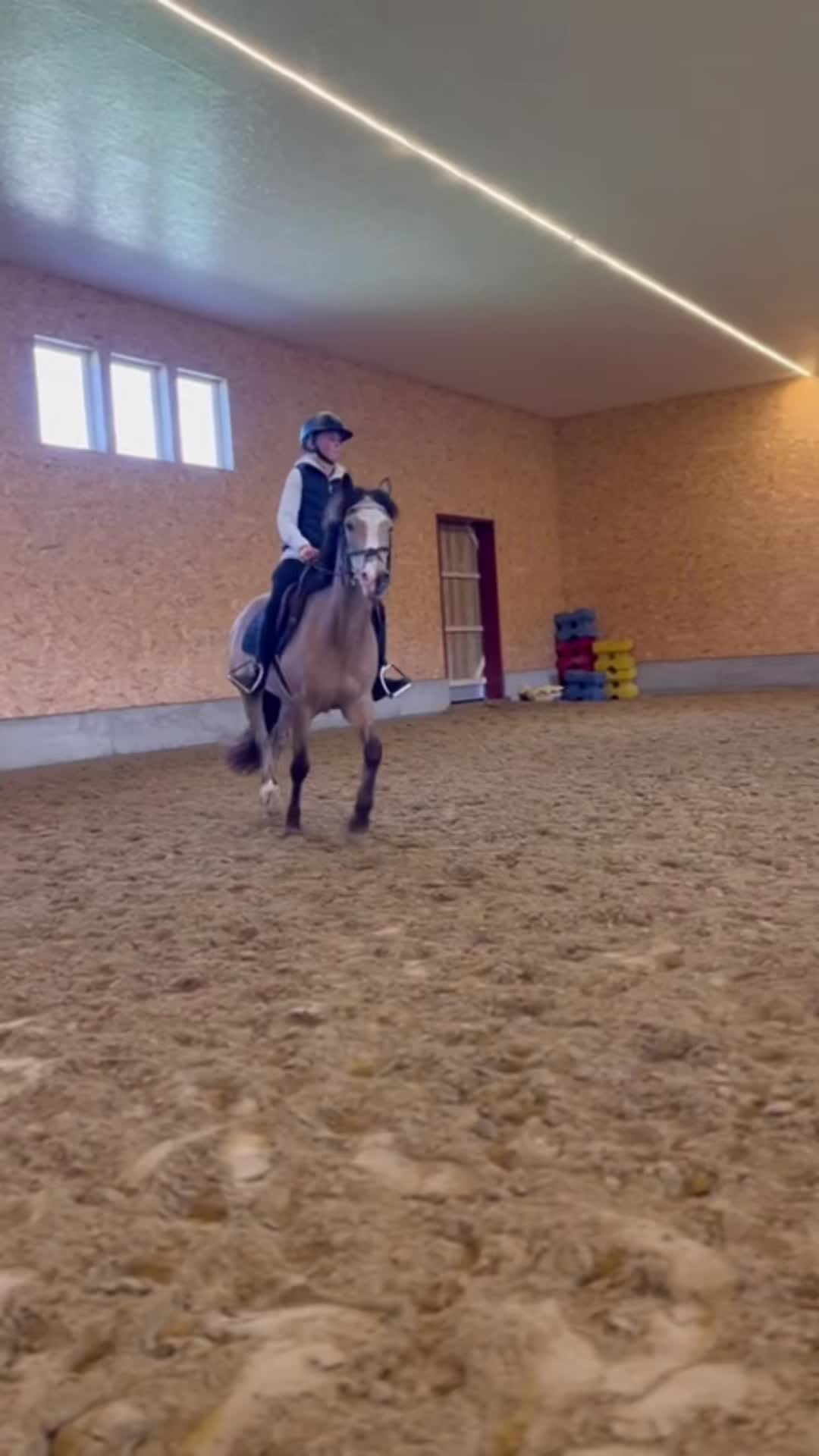 @❤️Celine og Dundie❤️