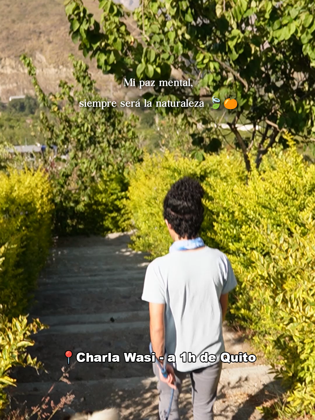 @Charla Wasi | Cabaña y Camping