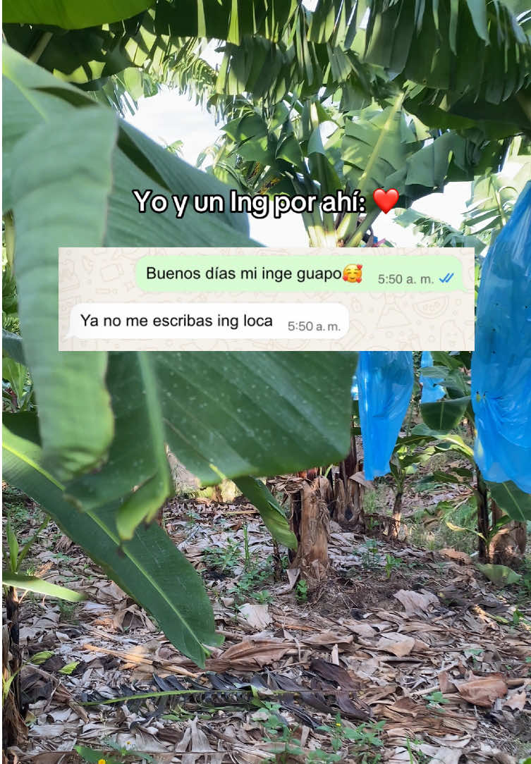 @Mujer Agrícola