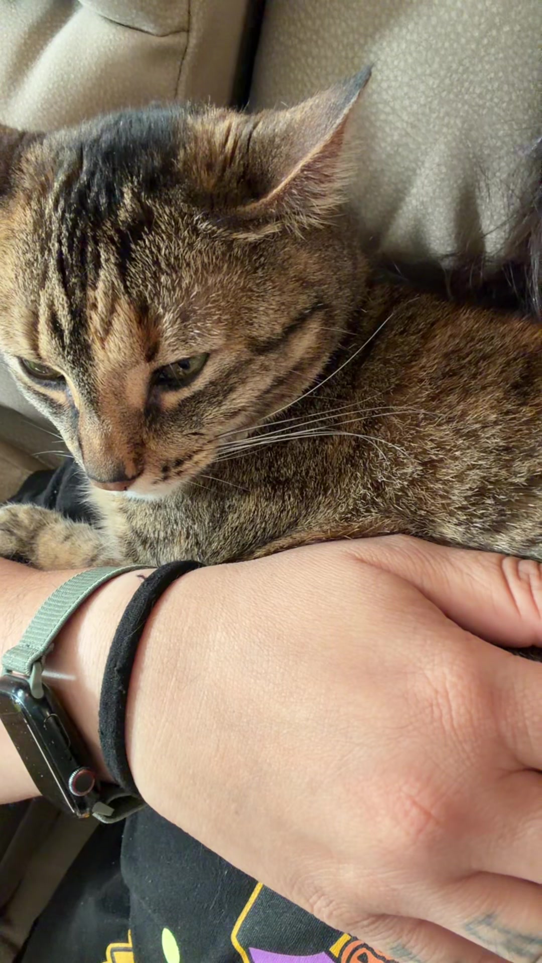@🩷Cupcake🩷