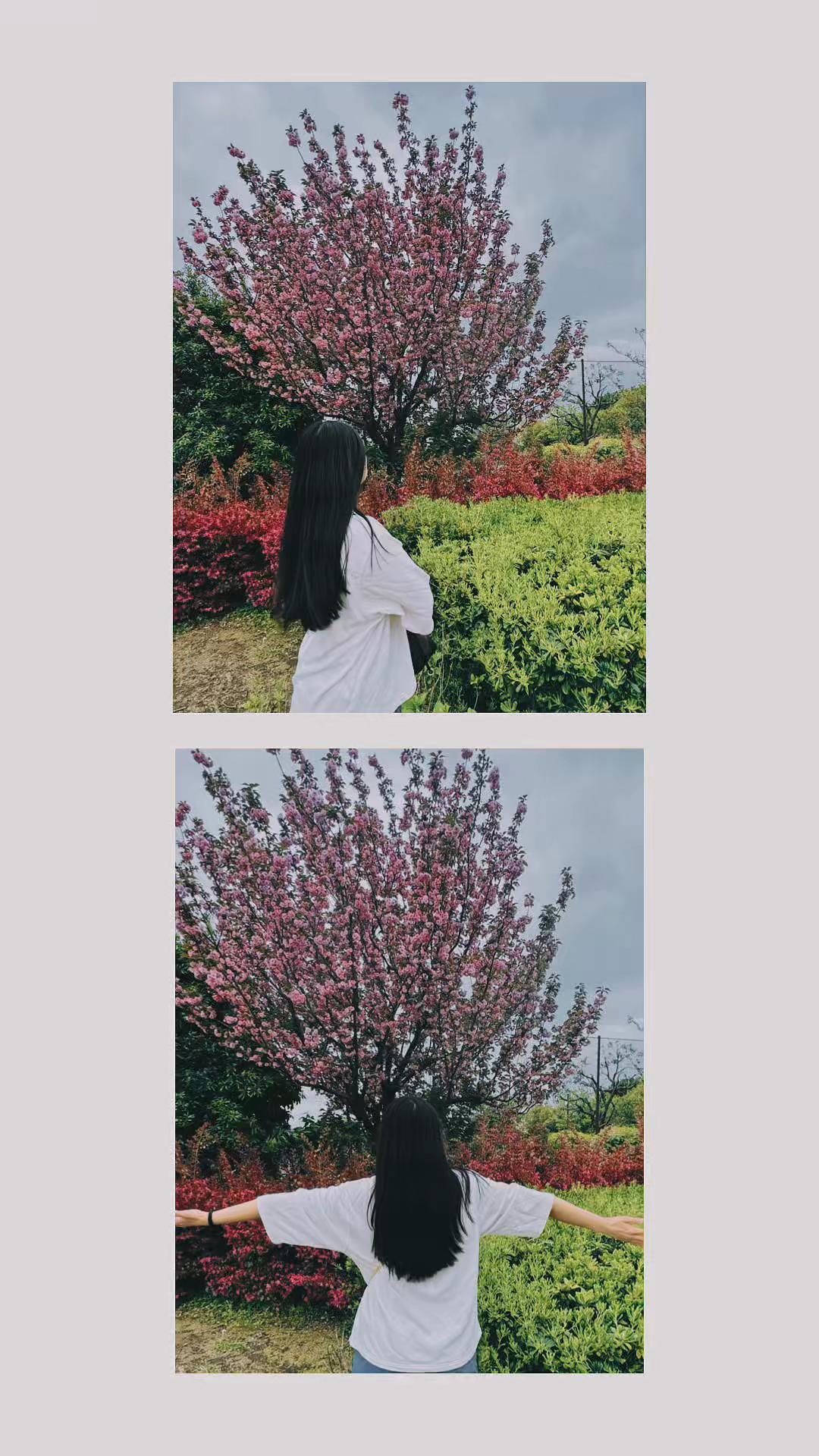 @E L S A 💜&rsquo;