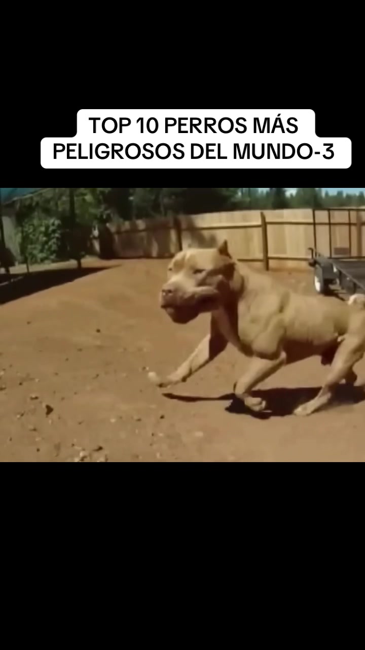 @user4076628818079