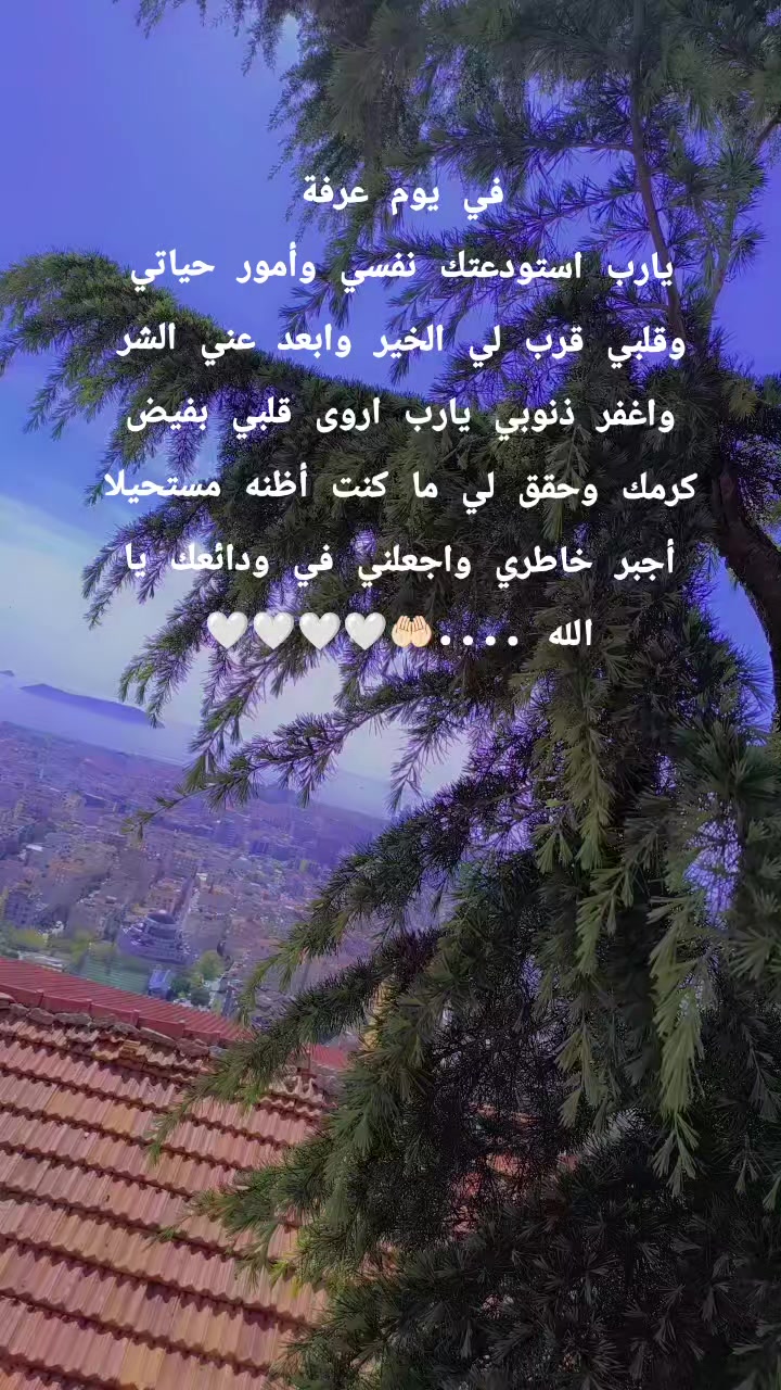 @Amani Haeallah