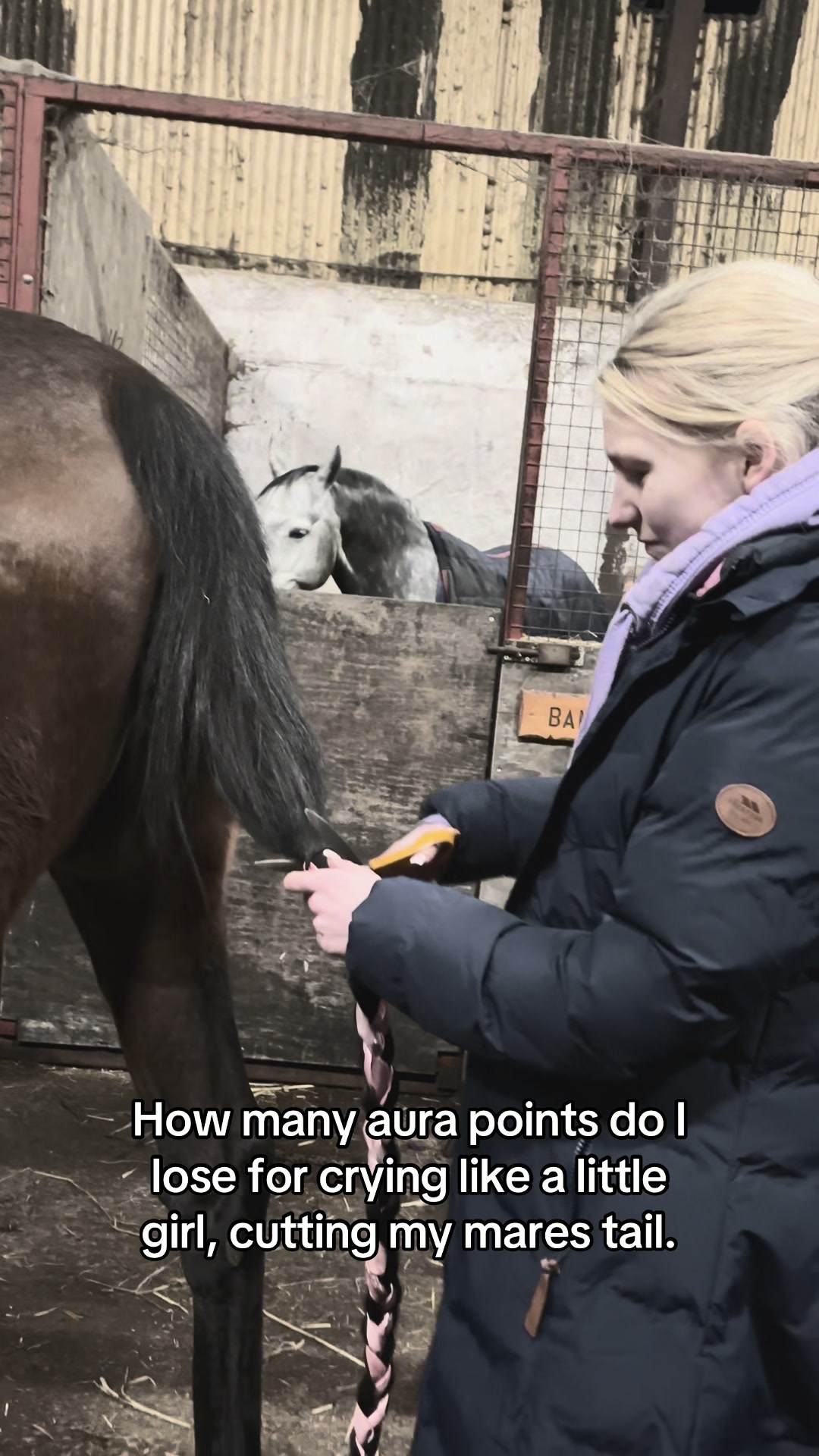 @Emily Hughes 🐴