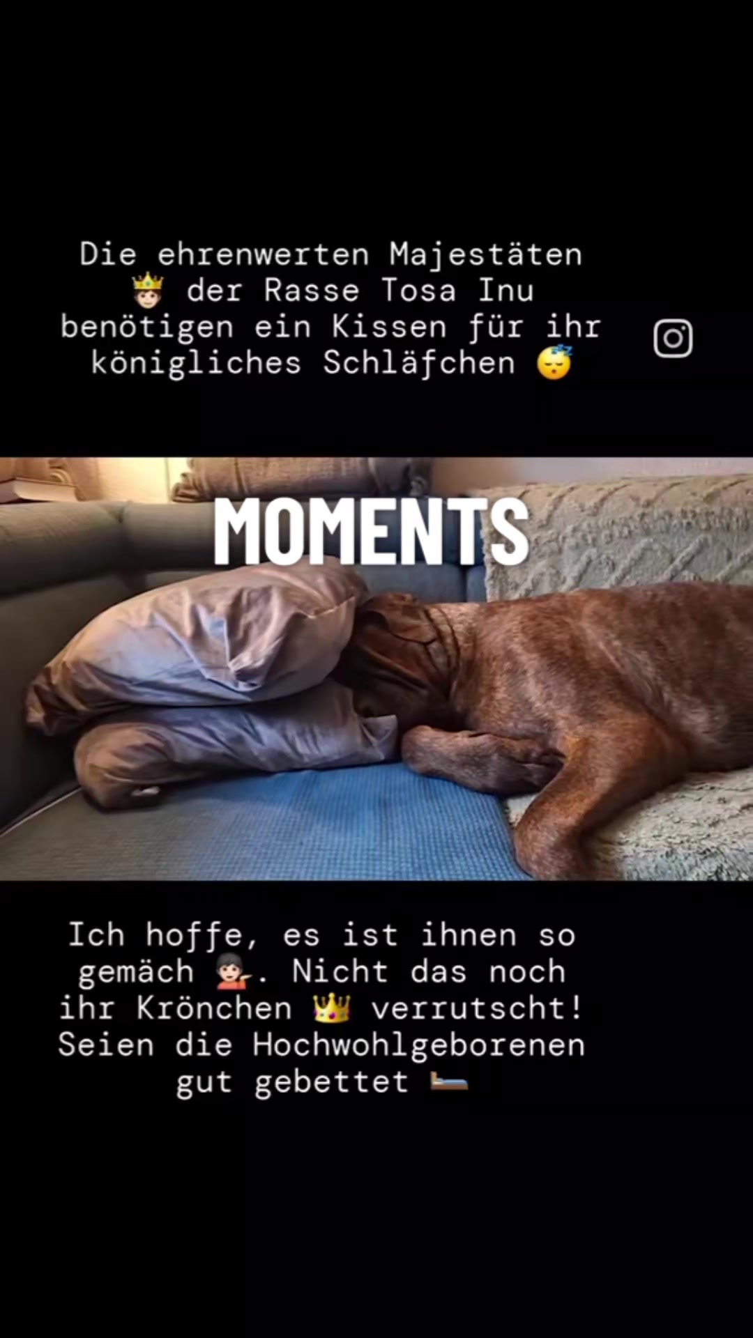 @Manuela Stockhausen