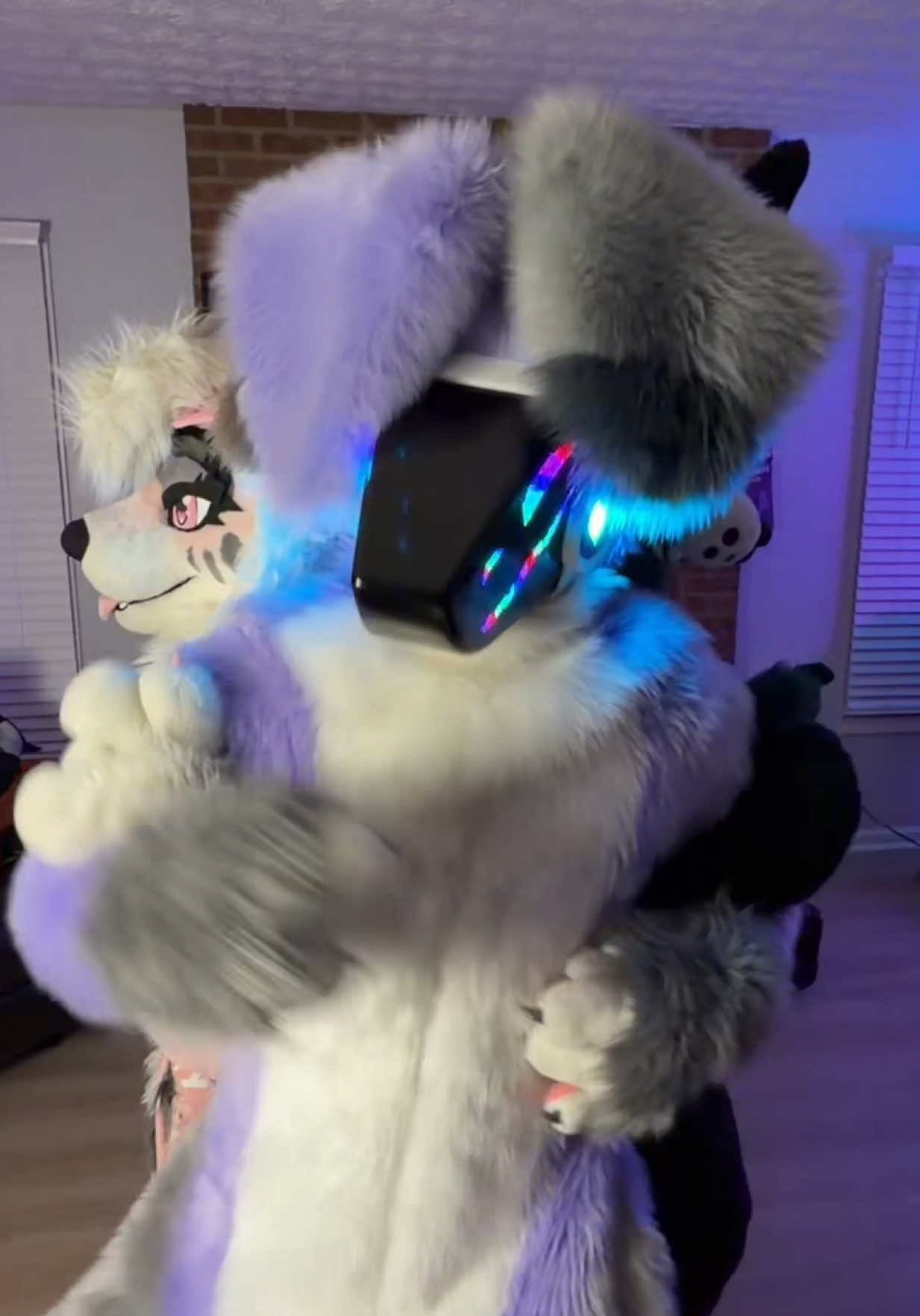 @SnowZard 🔜 FWA