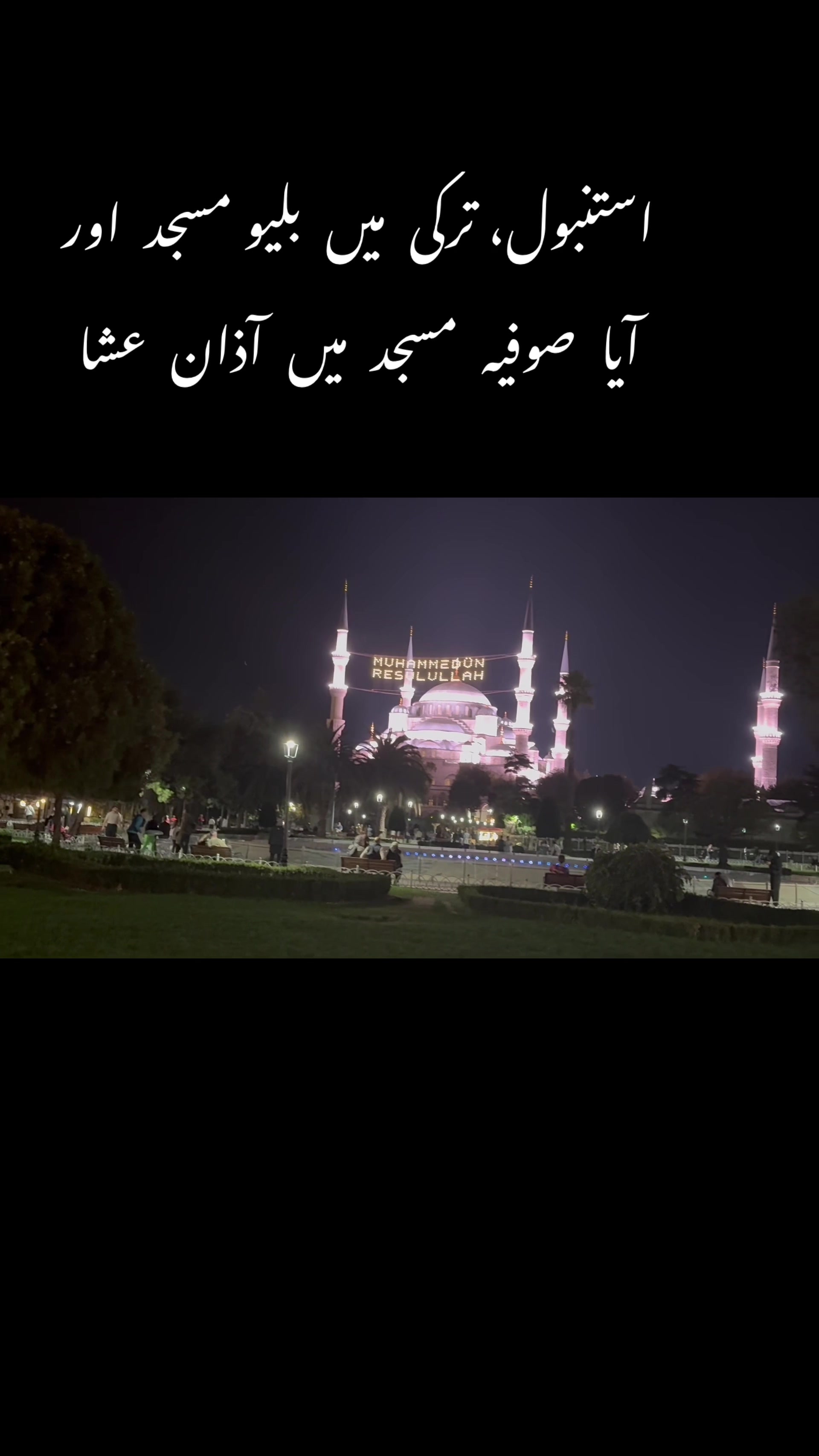 @hafeezm17