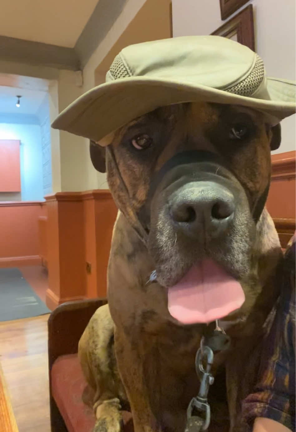 @Mooch 💖🍃 PRESA-CANARIO