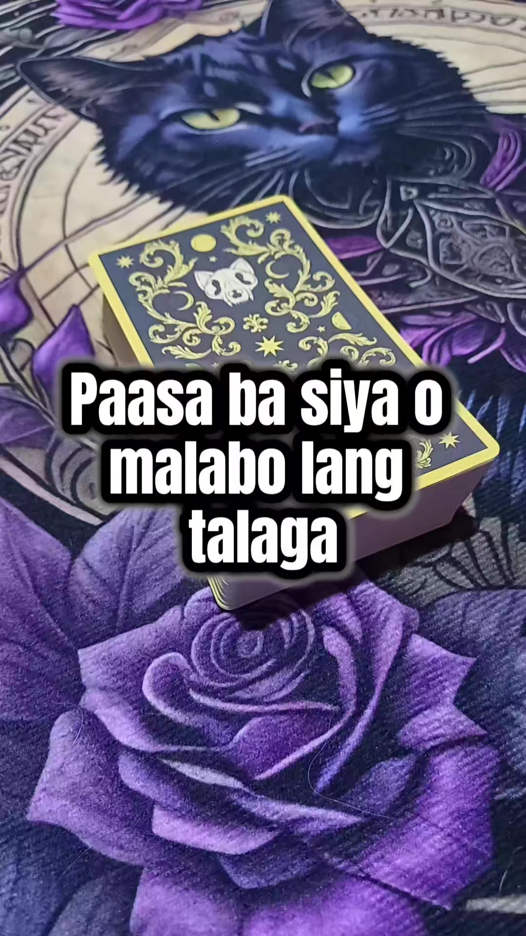 @Marie Tarot Reader