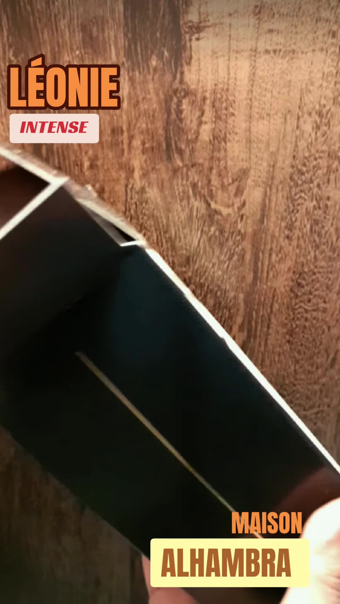 @alejandro