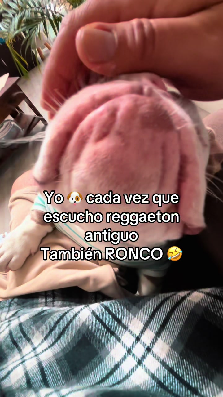@Memito Cix