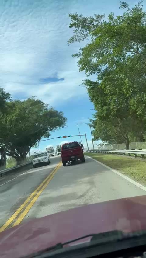@El sic&oacute;logo de la garza