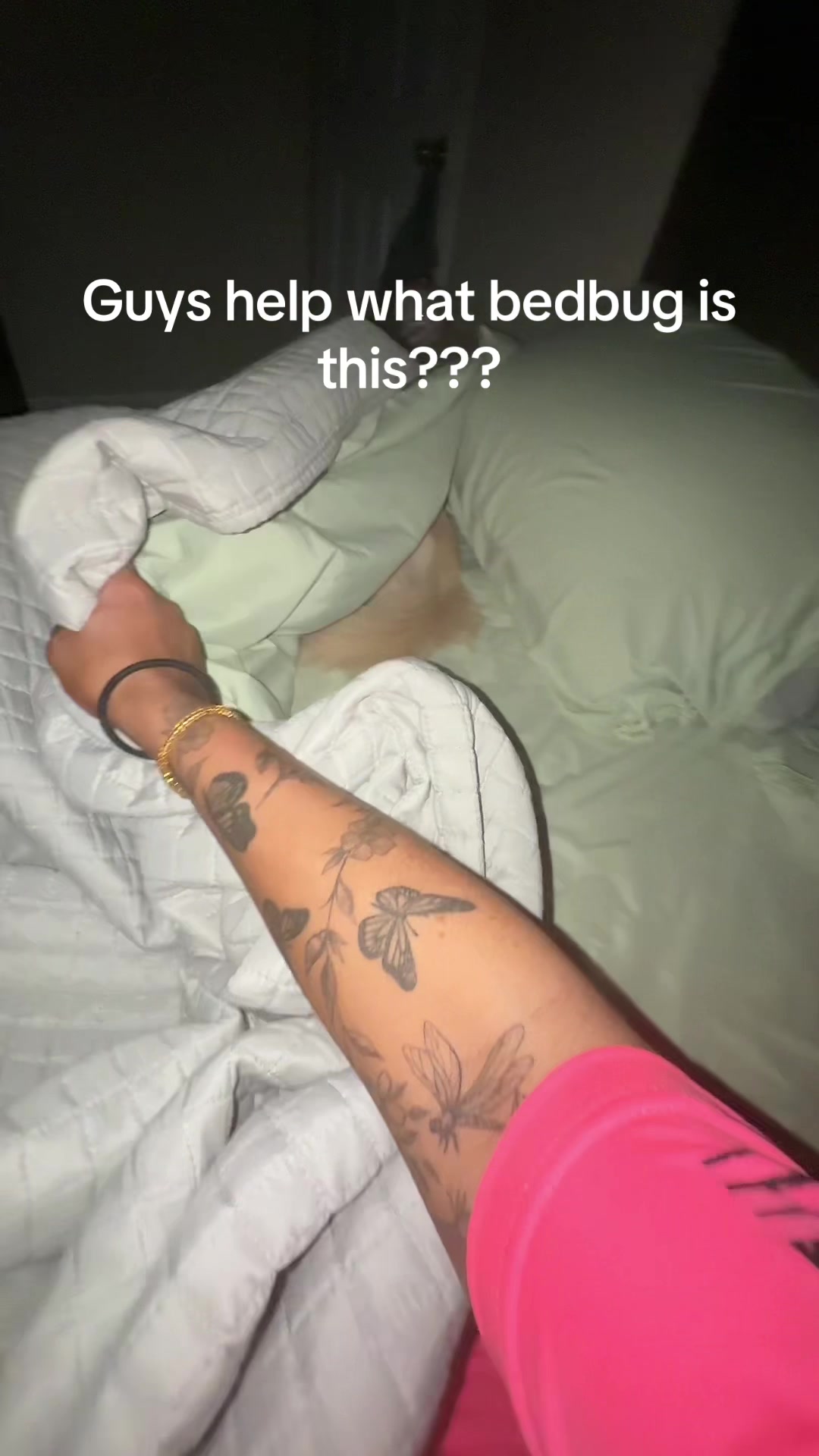 @lexiijessie