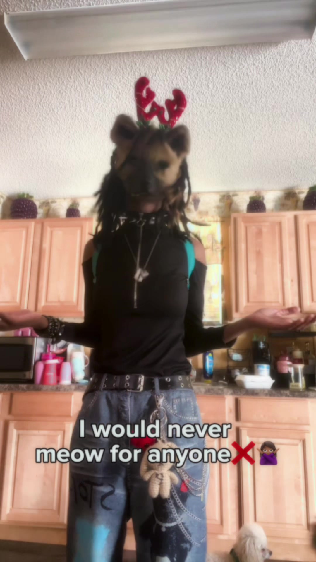 @🍄ₛₚₒᵣₑ🍂