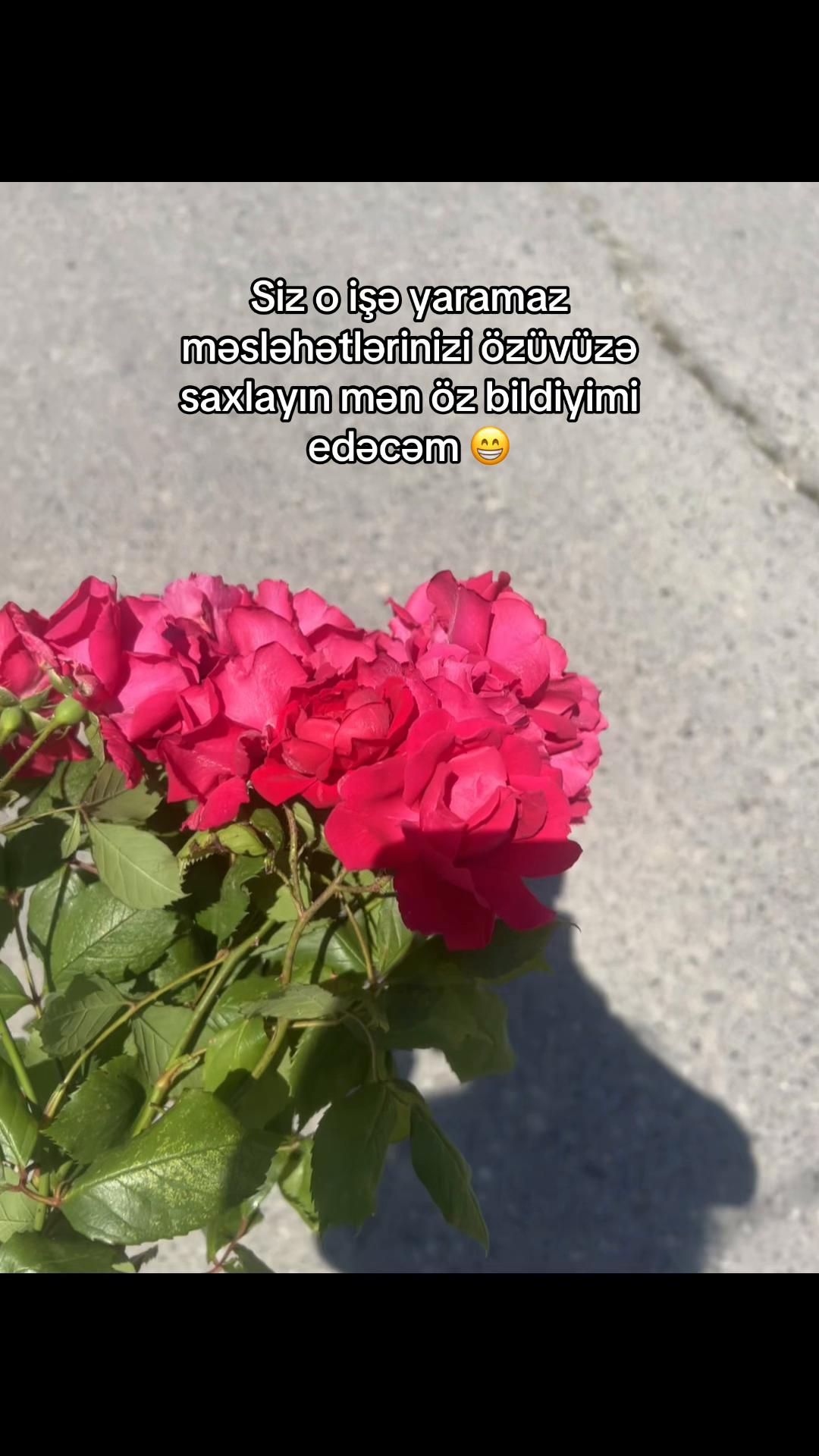 @𝟏𝟐