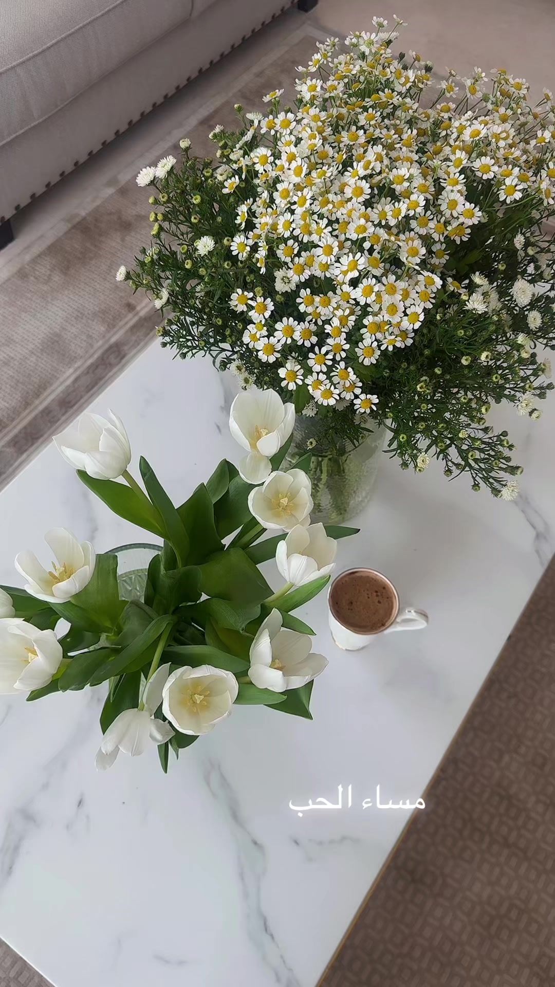 @دانه المطوع