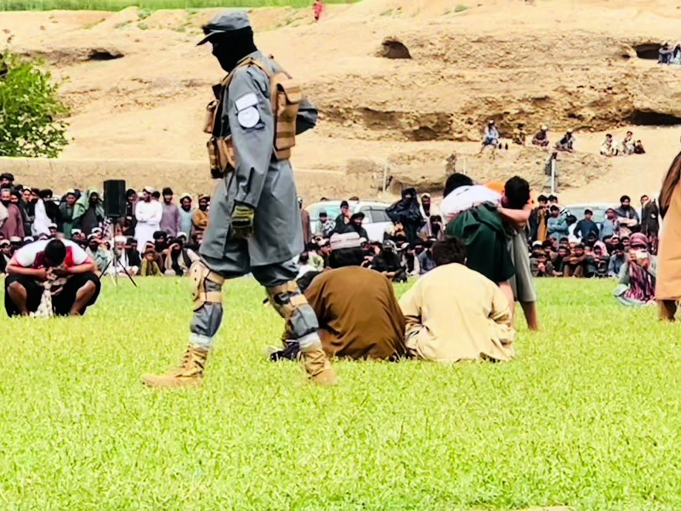 @محمد عمر پهلوان ❤️