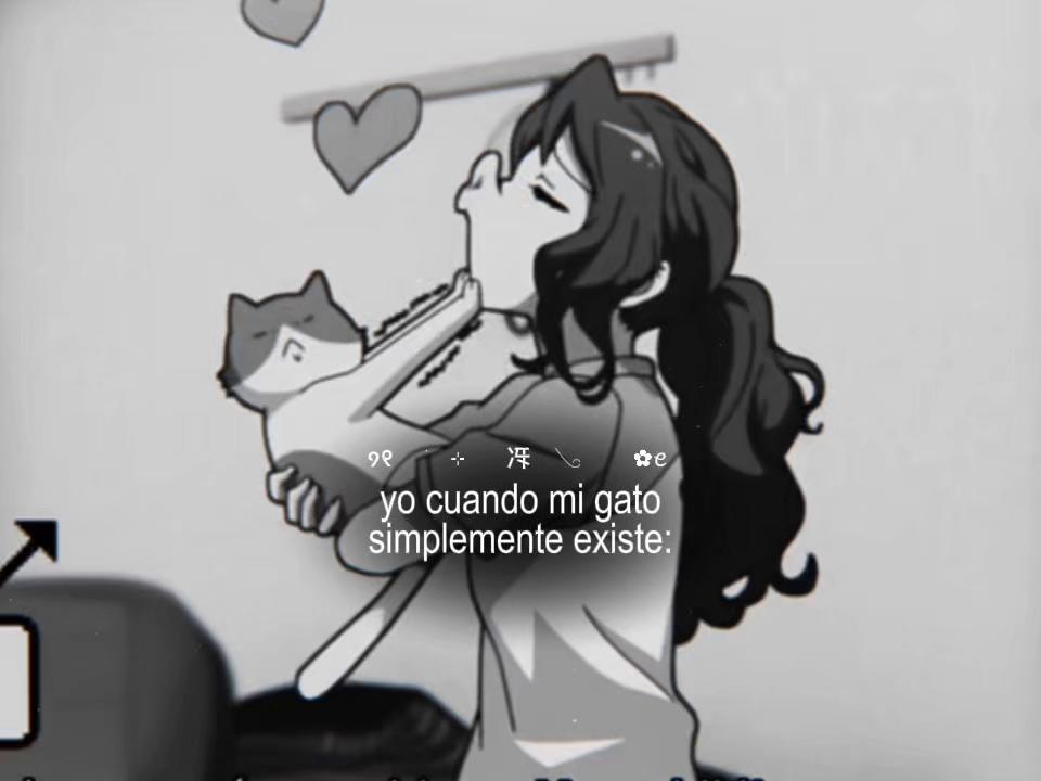@✿ &nbsp; : &nbsp; 𝓜eni  ៶  ୨୧ꞌ