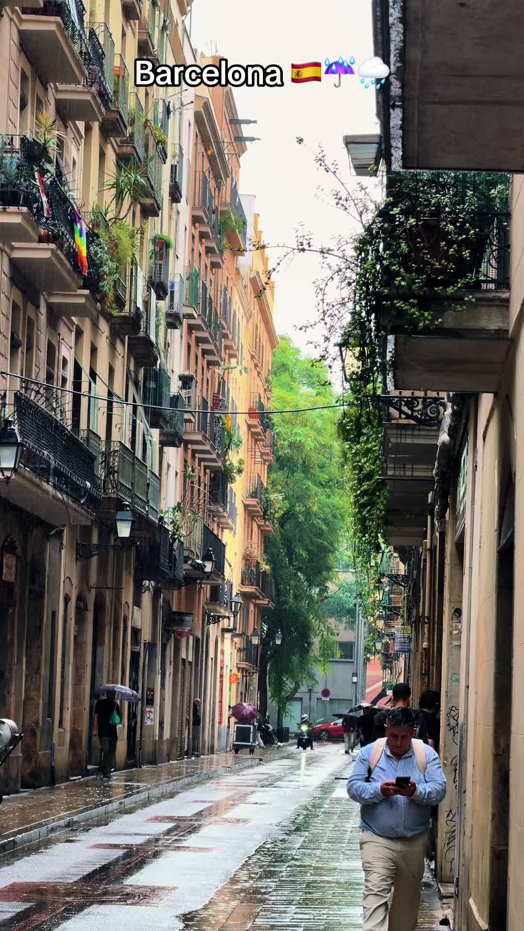 @𝐔𝐌𝐀𝐈𝐑 🇬🇧🇪🇸