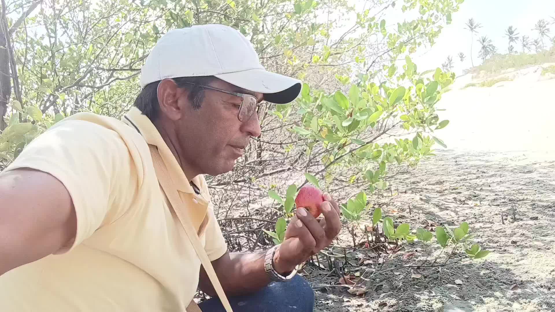 @altemarlima3