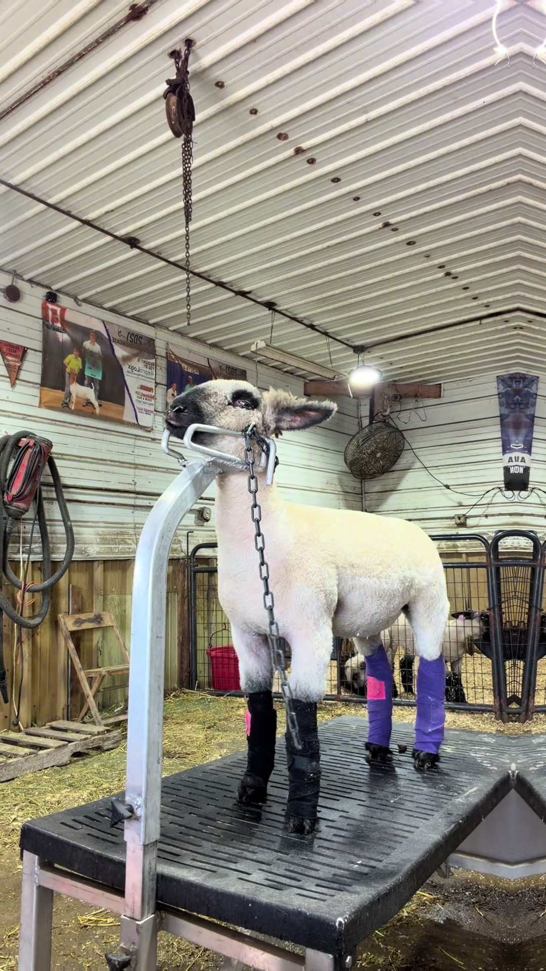 @ET Livestock
