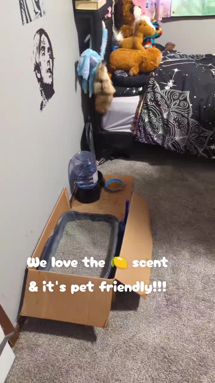 @Jessica🐾💞