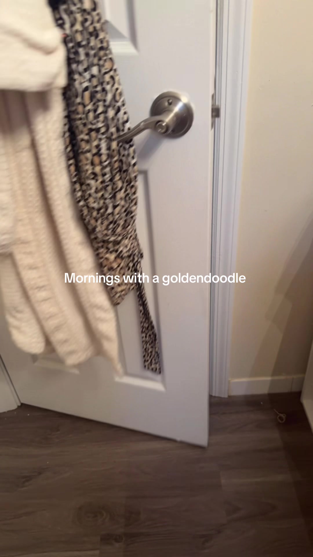 @𝑩𝒂𝒅 𝑮𝒚𝒂𝒍 𝑨 💕
