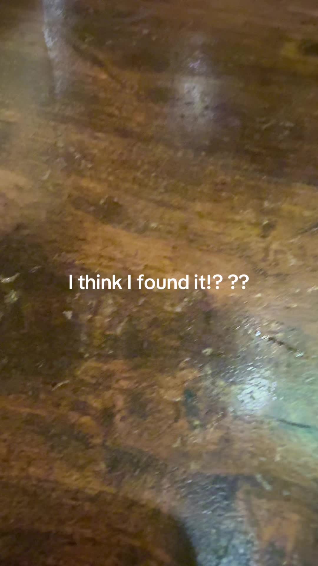 @SebBeLifting
