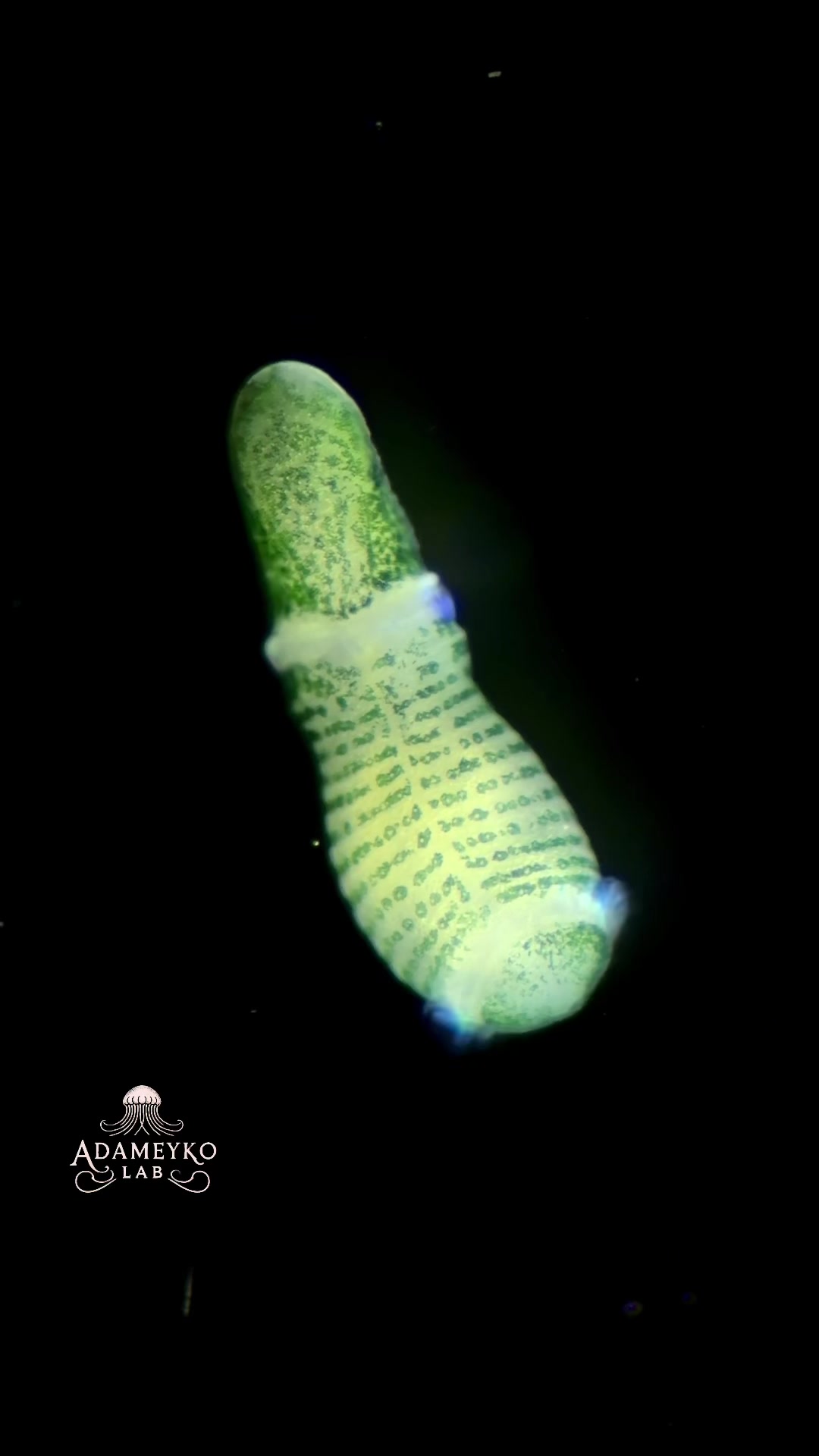 @The_story_of_a_biologist