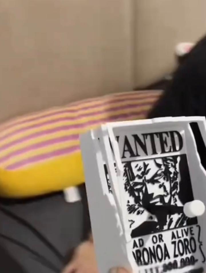 @animelampsofficial