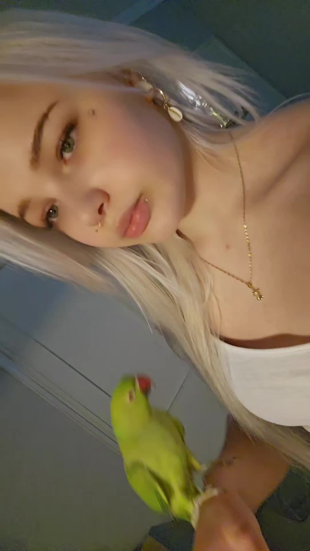 @ᛉhemli