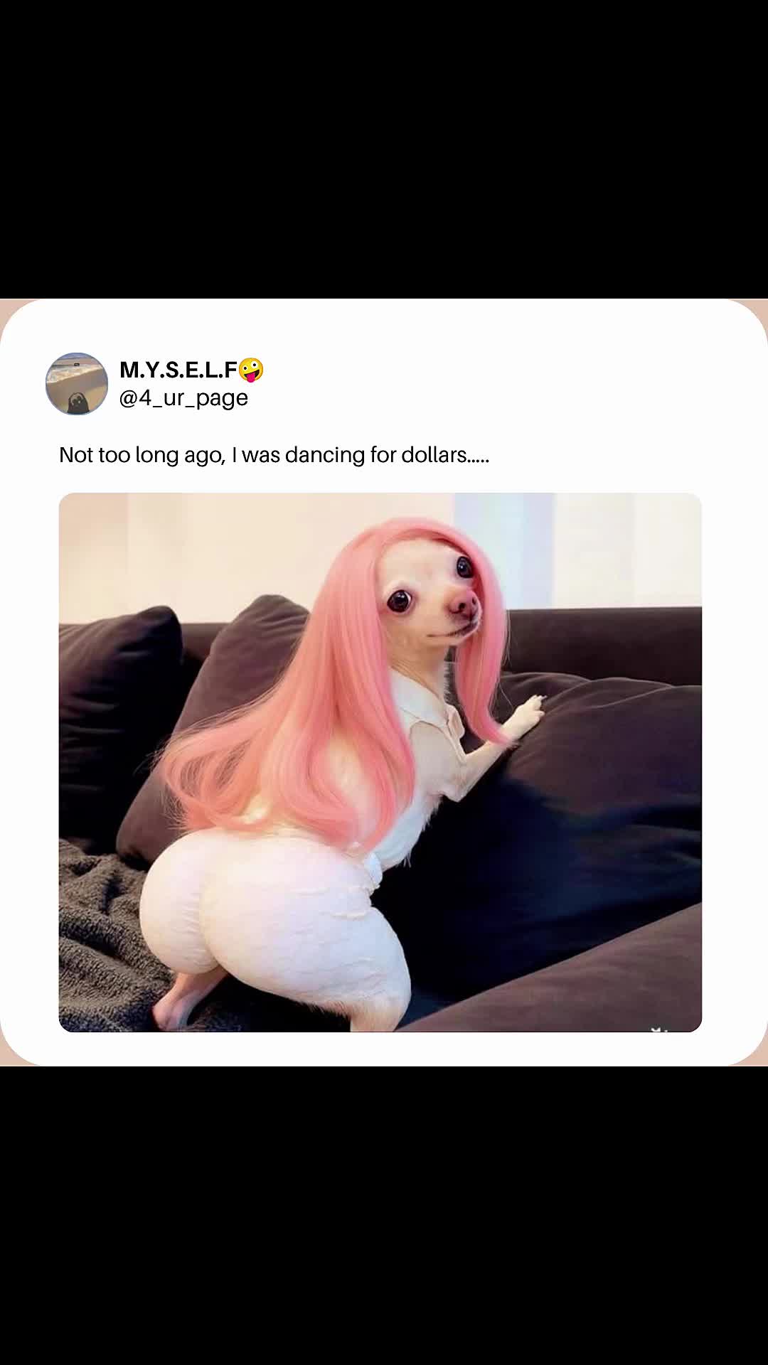 @M.Y.S.E.L.F🤪