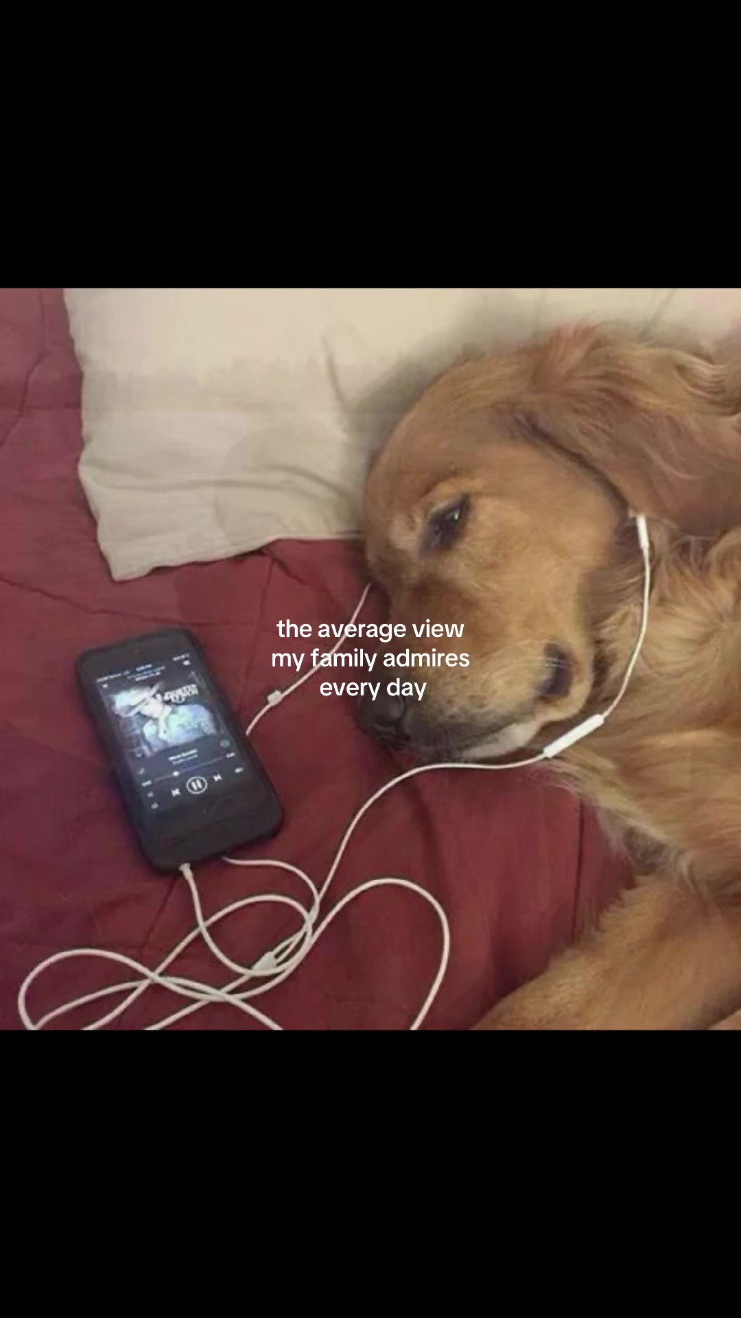 @wizardqliz
