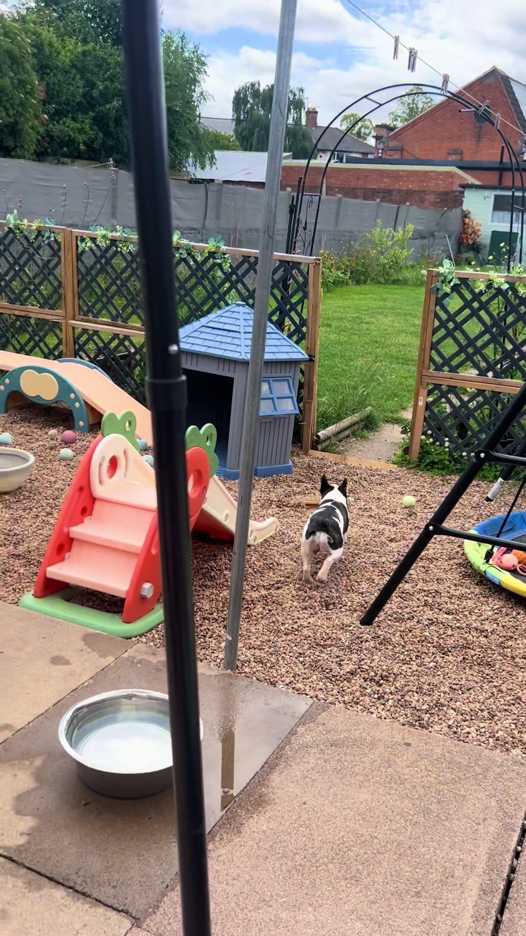 @perfectibull_uk