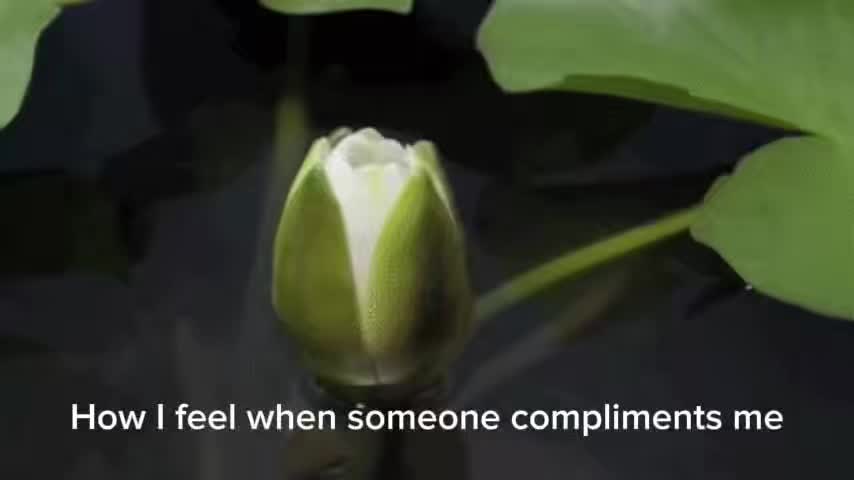@???