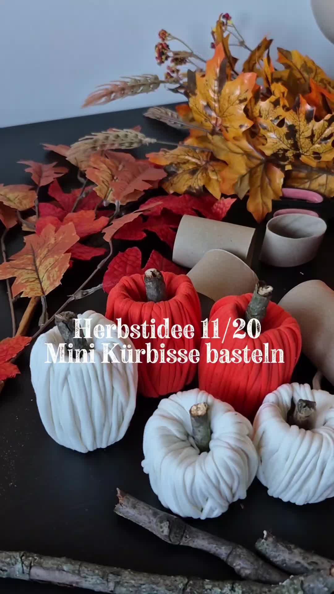 @einfalls.reich