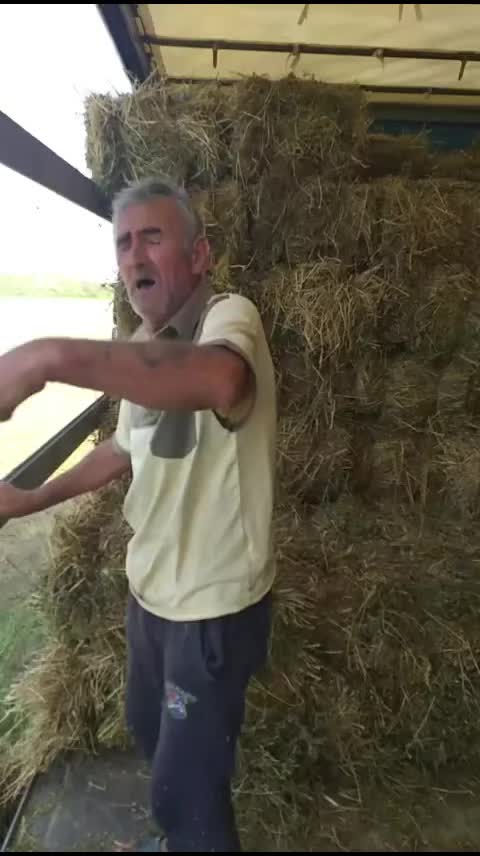 @Cristian Mihaila355